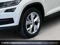 Skoda Kodiaq 2.0 tdi evo style 4x4 200cv dsg Blanc - thumbnail 7