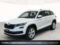 Skoda Kodiaq 2.0 tdi evo style 4x4 200cv dsg Blanc - thumbnail 1