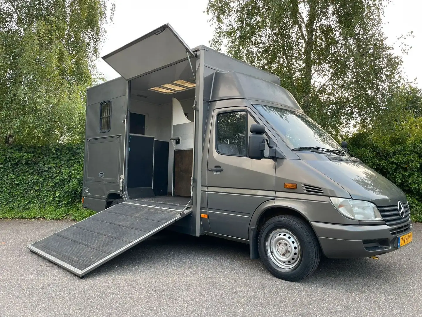 Mercedes-Benz Sprinter Pferdewagen Horsetruck pferde transport - 2