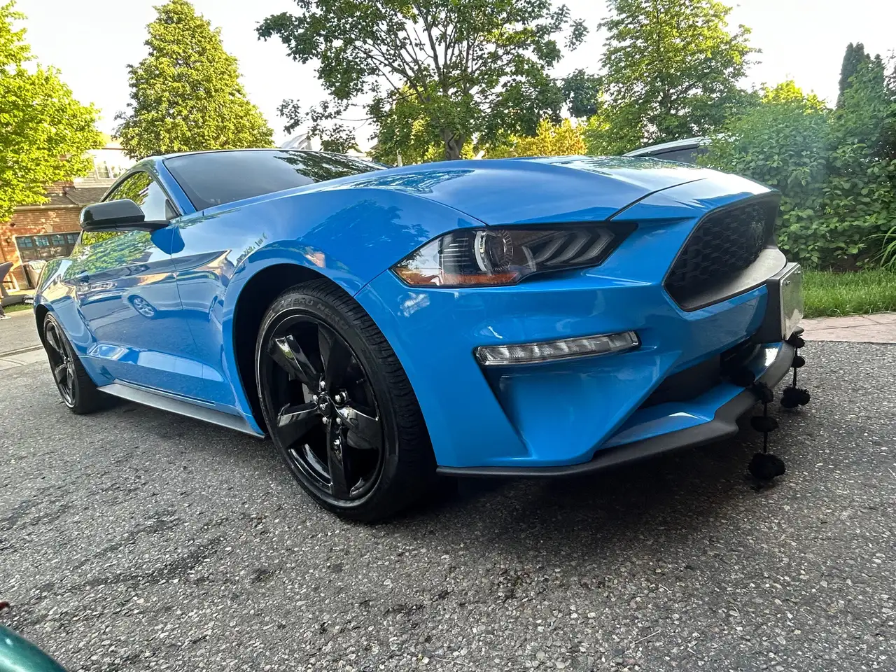 Ford Mustang fotografie Ford Mustang