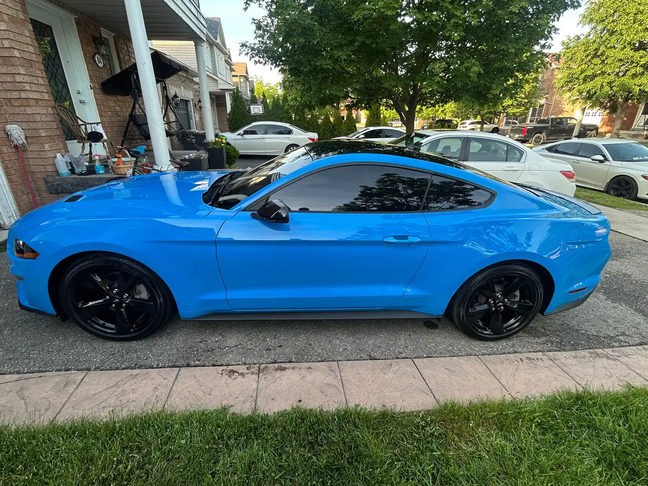 Ford Mustang fotografie Ford Mustang