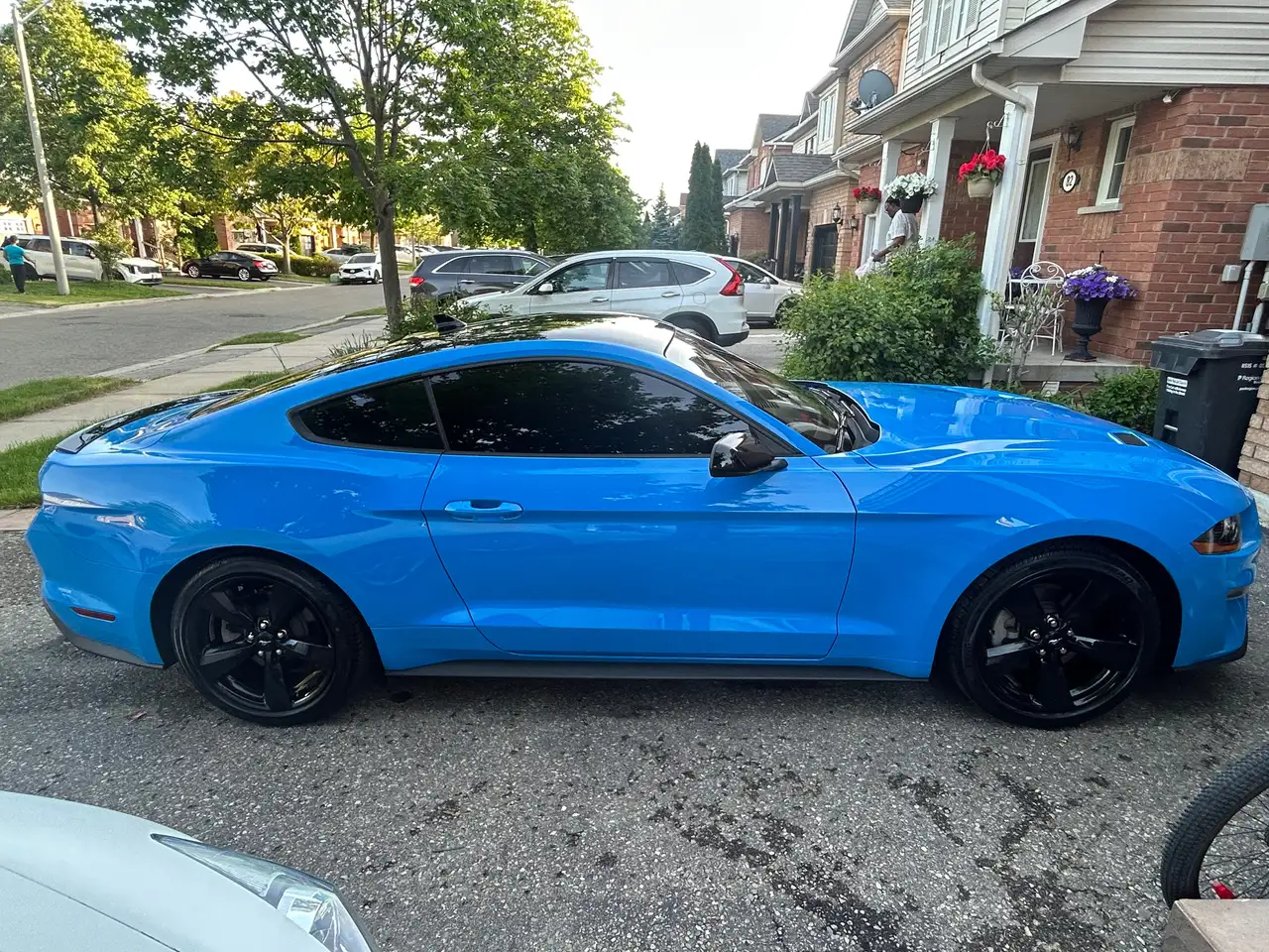 Ford Mustang fotografie Ford Mustang