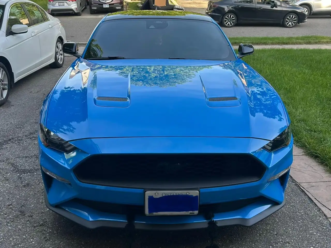 Ford Mustang fotografie Ford Mustang