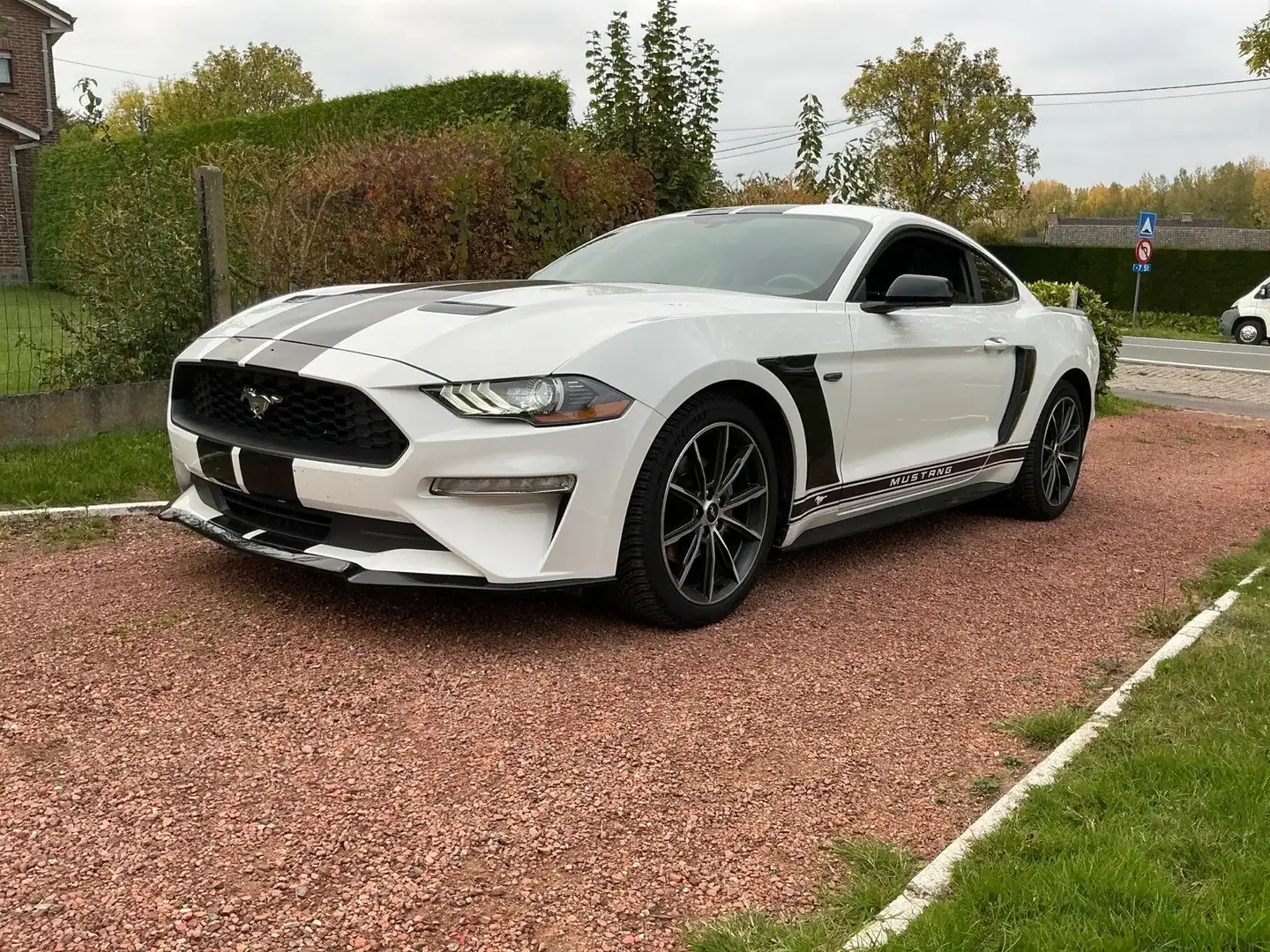 Ford Mustang Mustang 2.3 Eco Boost Aut. Wit - 2