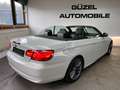 BMW 320 d Cabrio SPORTPAKET/NAVI/PDC/LEDER/SHZ/XENON/ Weiß - thumbnail 7