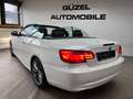 BMW 320 d Cabrio SPORTPAKET/NAVI/PDC/LEDER/SHZ/XENON/ Weiß - thumbnail 5