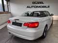 BMW 320 d Cabrio SPORTPAKET/NAVI/PDC/LEDER/SHZ/XENON/ Weiß - thumbnail 6