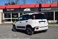 Fiat Panda 1.0 FireFly S&S Hybrid City Cross Bianco - thumbnail 3
