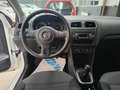 Volkswagen Polo Polo 1.2 TDI 5 p Comfortline - thumbnail 12