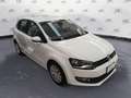 Volkswagen Polo Polo 1.2 TDI 5 p Comfortline - thumbnail 5