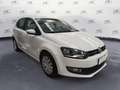 Volkswagen Polo Polo 1.2 TDI 5 p Comfortline - thumbnail 4