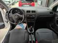 Volkswagen Polo Polo 1.2 TDI 5 p Comfortline - thumbnail 11