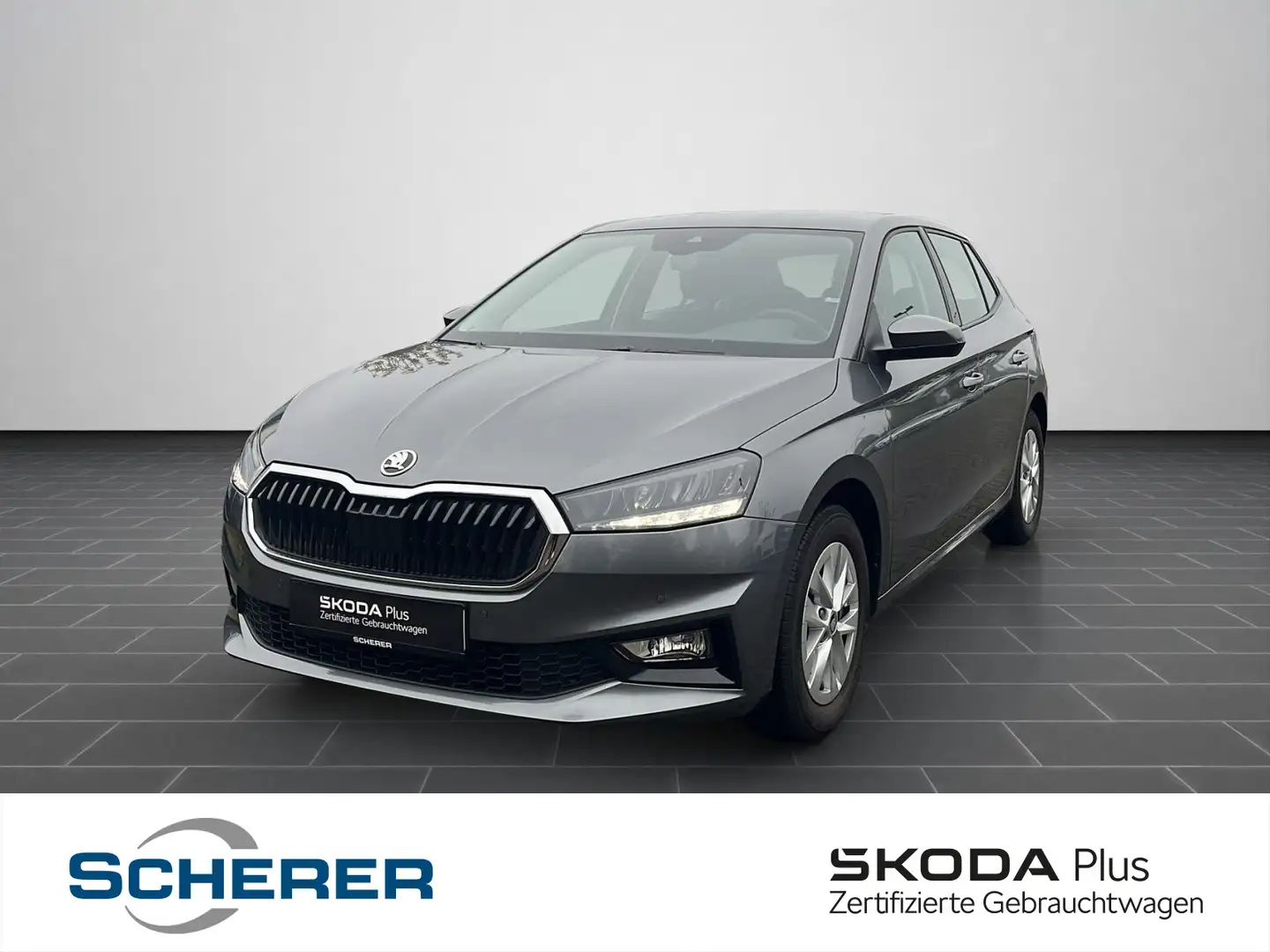 Skoda Fabia 1.0 TSI Selection Kessy, RFK, PDC, Winter- Grau - 1