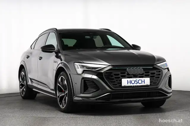 Audi Q8 e-tron SQ8 e-tron quattro 21" HEAD-UP PANO DIGI-MATRIX - Ansicht 41