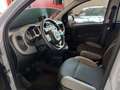 Fiat Panda 1.0 FireFly S&S Hybrid Sport Grijs - thumbnail 5