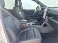 Ford Ranger DOKA Wildtrak 2.3EcoBoost PHEV 281PS A10 Weiß - thumbnail 7