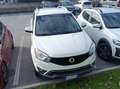 SsangYong Korando Korando 2.0 e-xdi Plus 2wd 148cv Blanc - thumbnail 4
