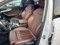 Audi A4 ULTRA Blanco - thumbnail 15
