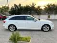 Audi A4 ULTRA Blanco - thumbnail 7