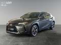 Lexus UX 250h Hybrid Style Edition *CARPLAY* Šedá - thumbnail 2