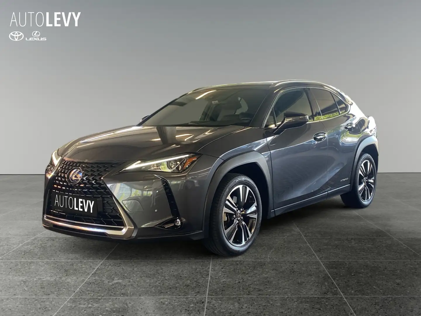 Lexus UX 250h Hybrid Style Edition *CARPLAY* Šedá - 2