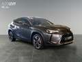 Lexus UX 250h Hybrid Style Edition *CARPLAY* Šedá - thumbnail 8