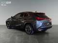 Lexus UX 250h Hybrid Style Edition *CARPLAY* Šedá - thumbnail 4