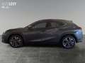 Lexus UX 250h Hybrid Style Edition *CARPLAY* Šedá - thumbnail 3