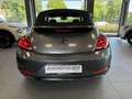 Volkswagen Maggiolino 2.0 TDI Design BlueMotion Technology Grigio - thumbnail 4