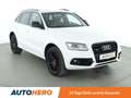 Audi Q5 3.0 V6 TDI quattro Aut.*BANG&OLUFSEN*STGHZ*XENON* Weiß - thumbnail 8