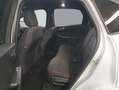 Ford Kuga 2.5 Duratec PHEV ST-LINE Weiß - thumbnail 9