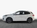 Ford Kuga 2.5 Duratec PHEV ST-LINE Weiß - thumbnail 5
