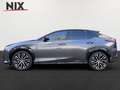 Lexus RZ 450e Launch Paket, Design-Pak, PANO, LED, Gris - thumbnail 3