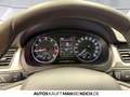 Skoda Rapid/Spaceback Rapid Spaceback 1.2 TSI DSG Scout XENON SHZ PDC Silber - thumbnail 11