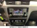 Skoda Rapid/Spaceback Rapid Spaceback 1.2 TSI DSG Scout XENON SHZ PDC Silber - thumbnail 12