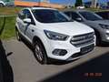 Ford Kuga Titanium Weiß - thumbnail 3