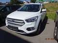 Ford Kuga Titanium Weiß - thumbnail 1