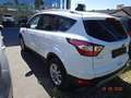 Ford Kuga Titanium Weiß - thumbnail 6