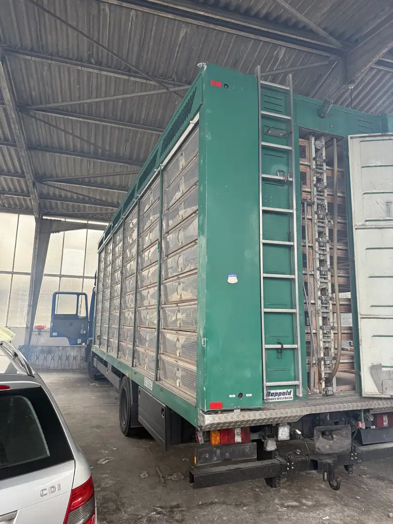 MAN LKW Brieftaubentransporter Verde - 1
