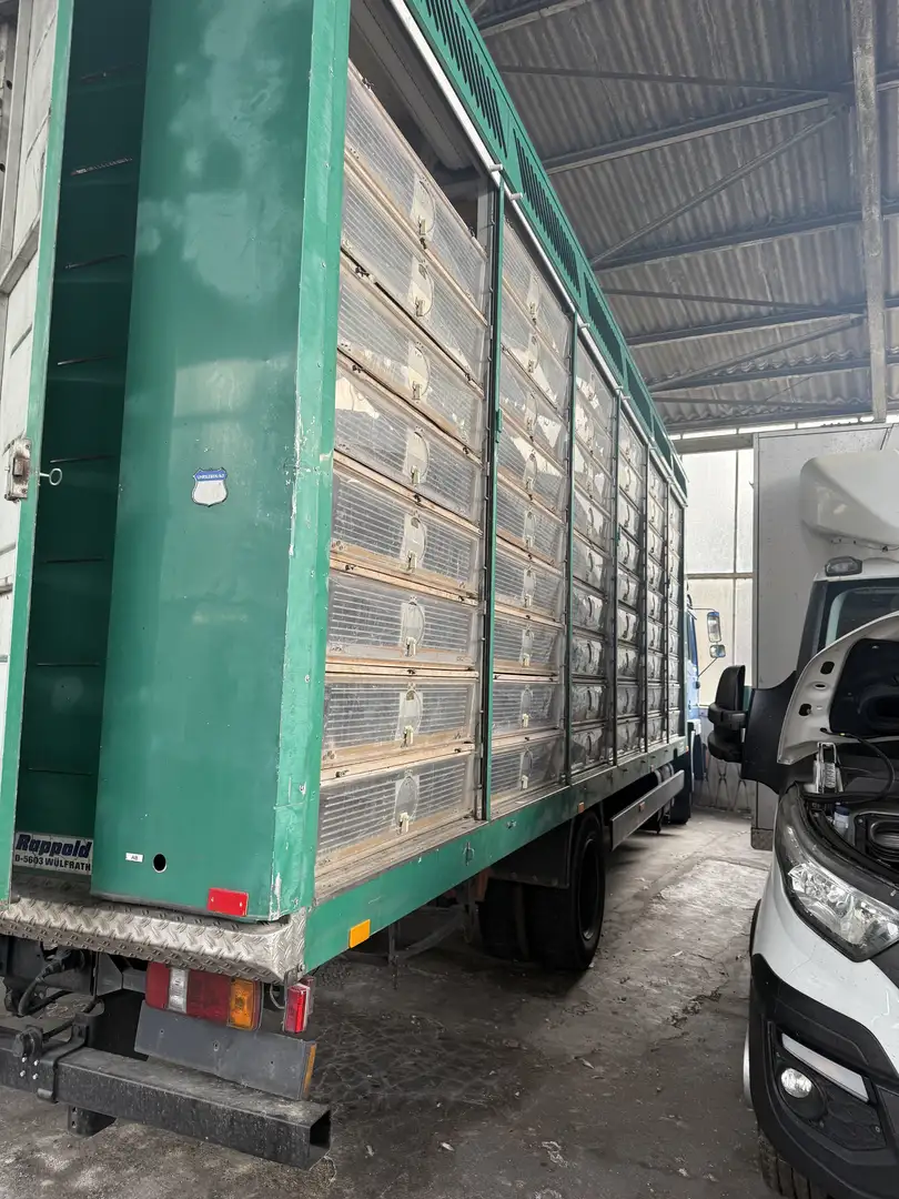 MAN LKW Brieftaubentransporter Verde - 2