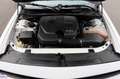 Dodge Challenger R/T Blanco - thumbnail 30