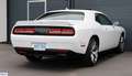 Dodge Challenger R/T Blanco - thumbnail 5