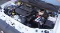 Fiat Strada 1300 MTJ FIORINO   WORKING  PICK-UP  4 POSTI Blanco - thumbnail 20