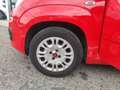 Fiat Panda III 2021 1.2 easypower Gpl s&s 69cv - thumbnail 20