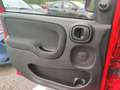 Fiat Panda III 2021 1.2 easypower Gpl s&s 69cv - thumbnail 19