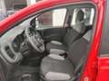 Fiat Panda III 2021 1.2 easypower Gpl s&s 69cv - thumbnail 12