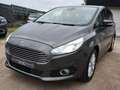 Ford S-Max S-Max 2.0 TDCi Business Class PowerShift Gris - thumbnail 3