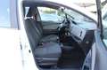 Toyota Yaris 1.0 5 porte Bianco - thumbnail 20