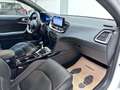Kia ProCeed / pro_cee'd *GARANTIE 2029* ProCeed 1.0 T-GDi GT-Line Weiß - thumbnail 14
