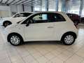 Fiat 500 III 2015 Benzina 1.0 hybrid Cult 70cv Blanco - thumbnail 3